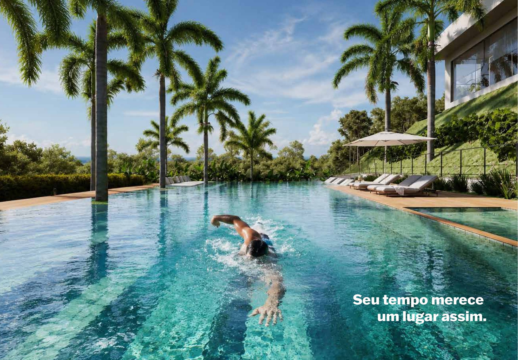 Piscina com raia de 25 metros cercada por palmeiras